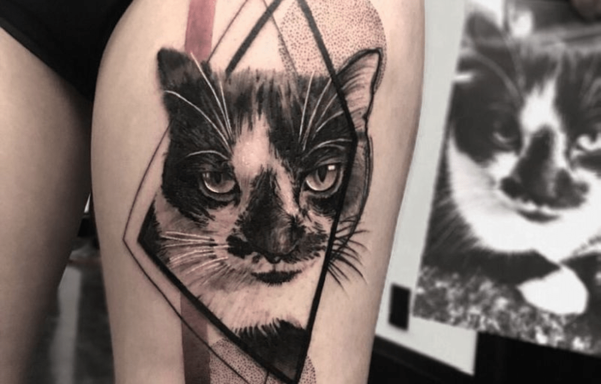 100 melhor ideia de Tatuagem minimalista gato em 2023